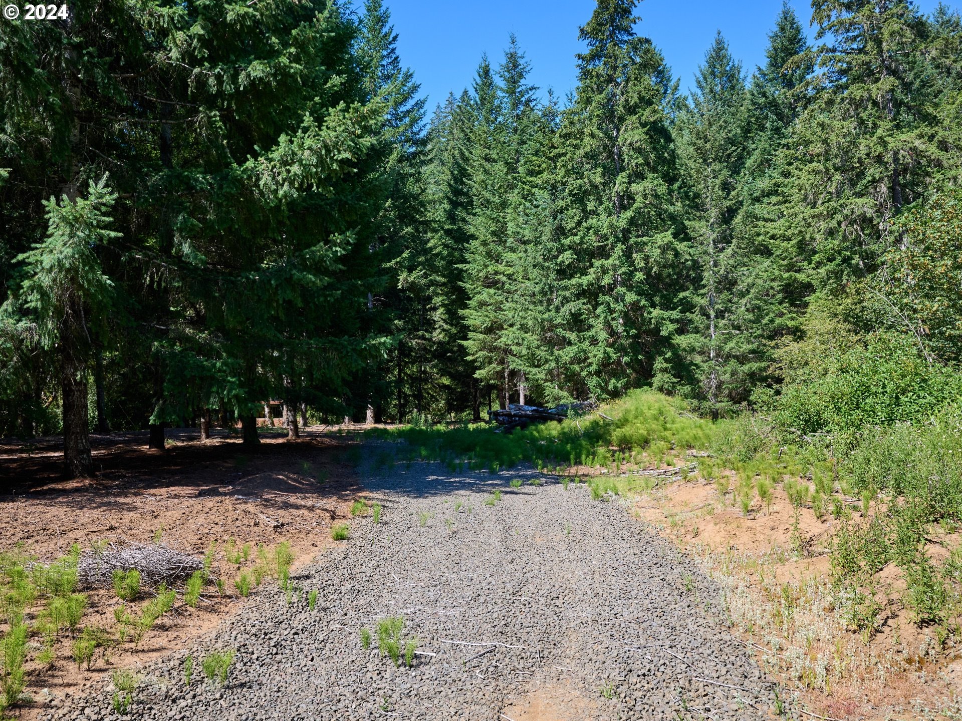 Coast Creek Road Willamina, OR 97396 - Photo 4 of 19