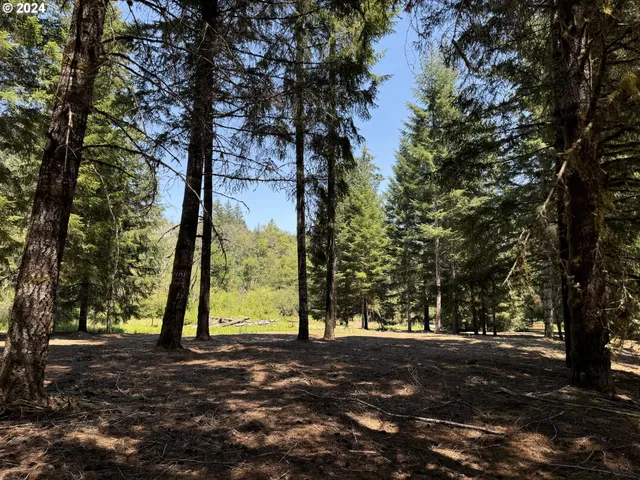$225,000 | Coast Creek Road, Willamina, OR 97396