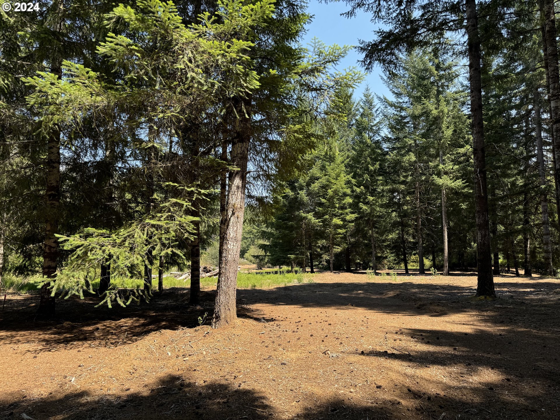 Coast Creek Road Willamina, OR 97396 - Photo 6 of 19