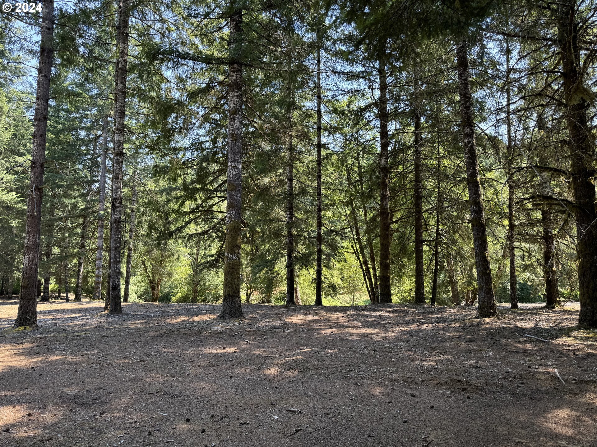 Coast Creek Road Willamina, OR 97396 - Photo 7 of 19