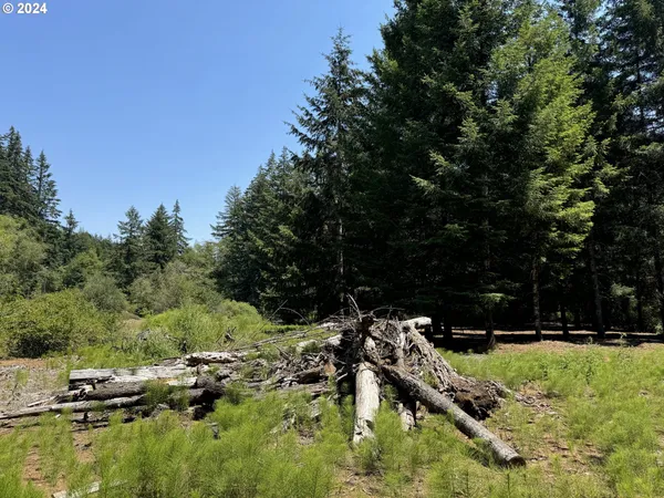 $225,000 | Coast Creek Road, Willamina, OR 97396