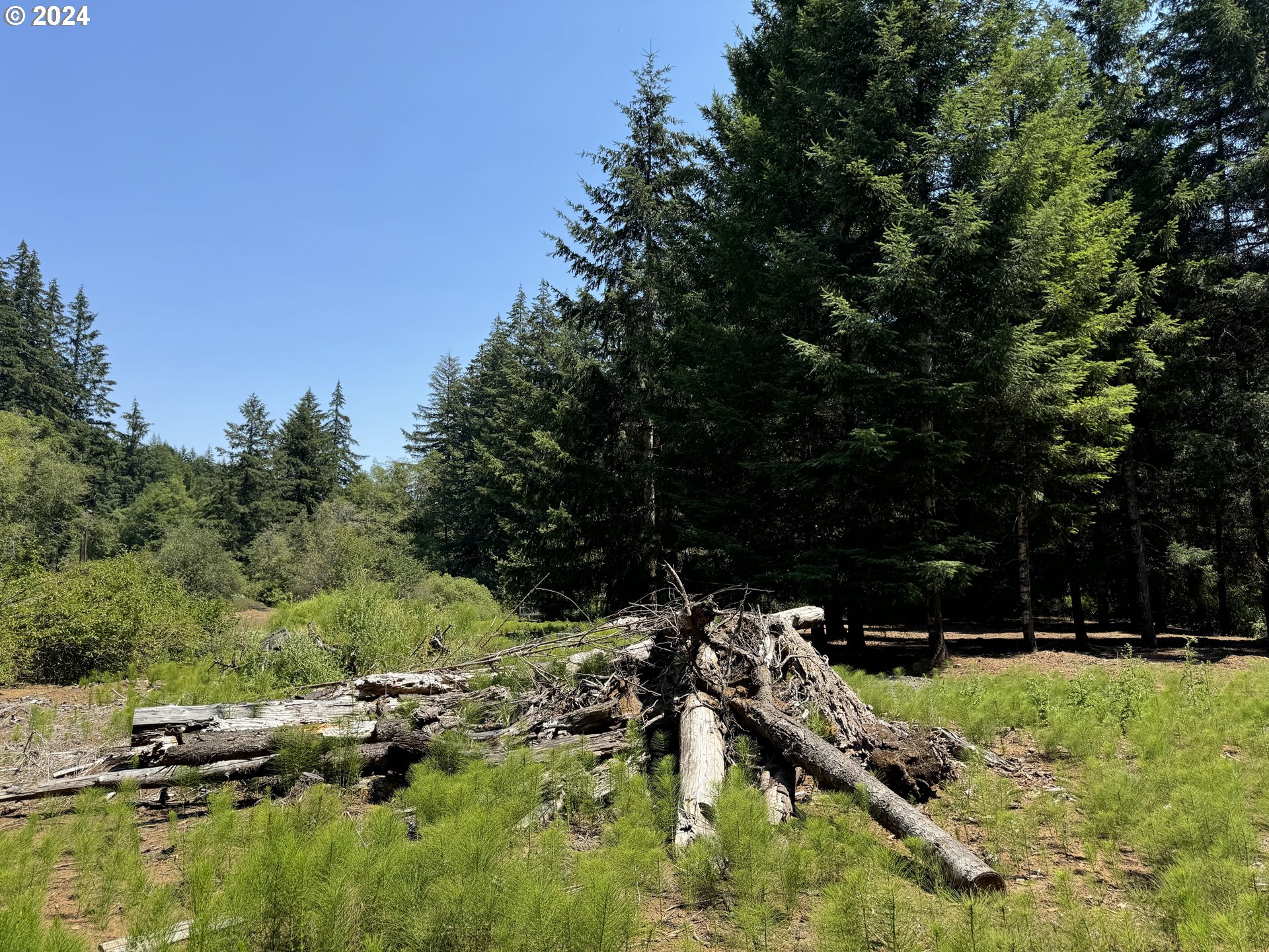 Coast Creek Road Willamina, OR 97396 - Photo 8 of 19