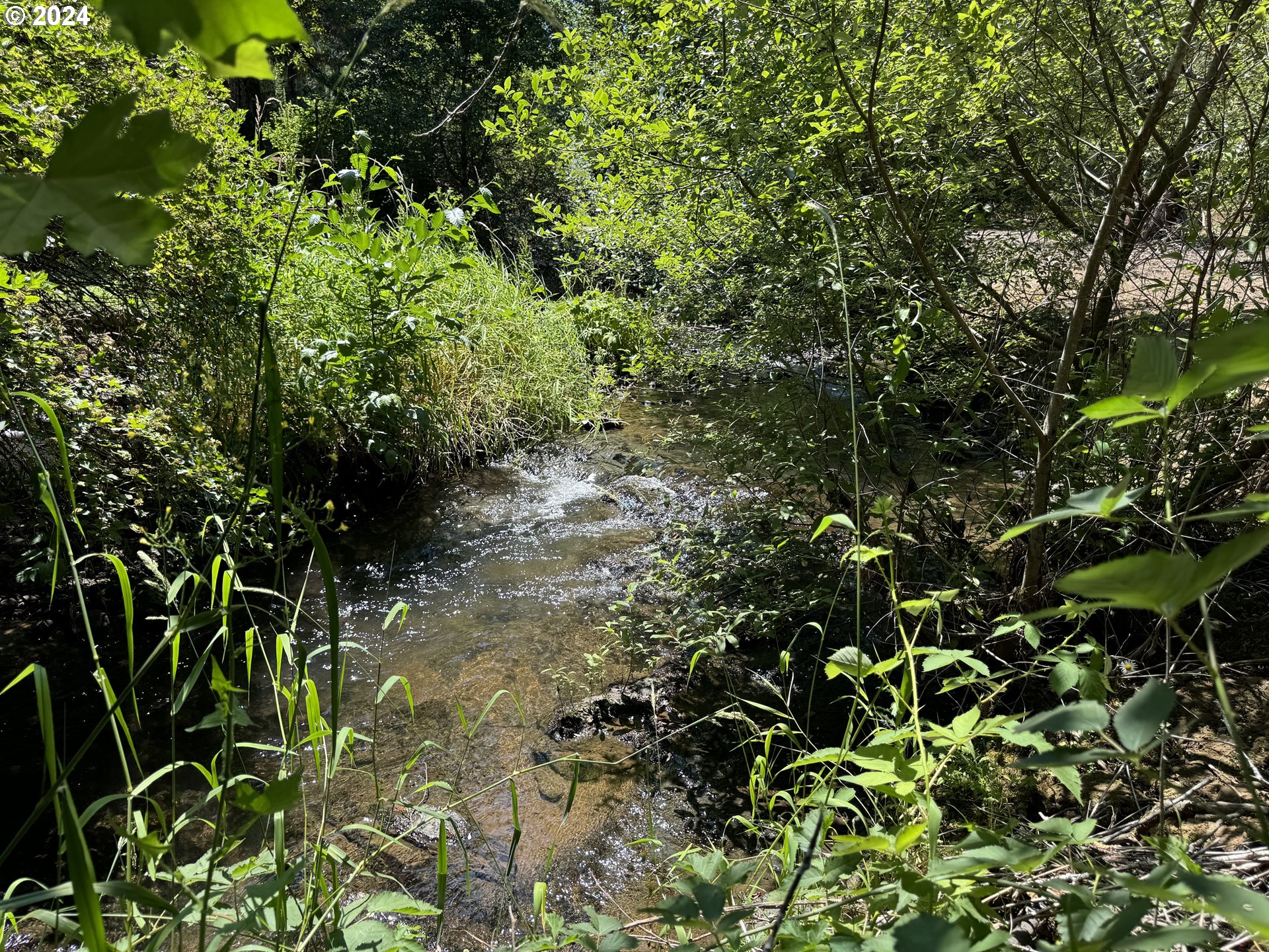 Coast Creek Road Willamina, OR 97396 - Photo 9 of 19