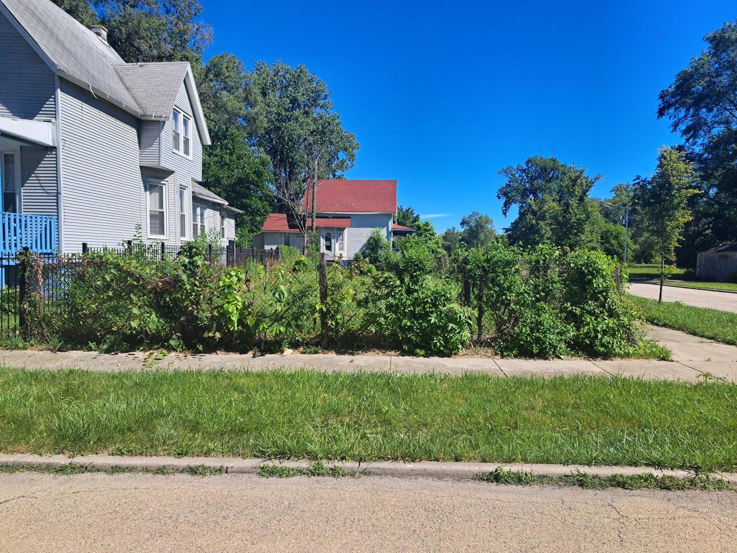 534 West 60th Street Chicago, IL 60621 - Photo 1 of 1 a view of a yard with flower plants and large trees