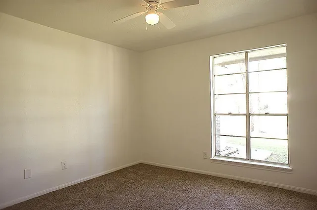 a view of a backyard with a garden and plants