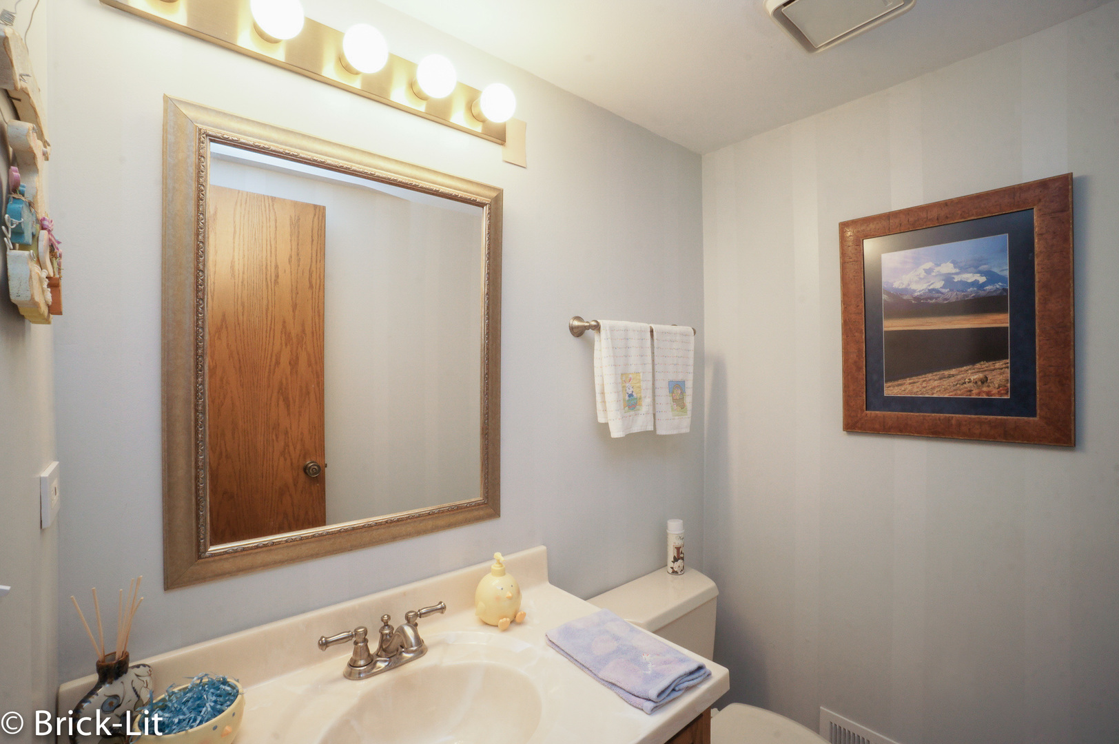 19227 Weber Road Mokena, IL 60448 - Photo 13 of 19 a bathroom with a sink and a mirror