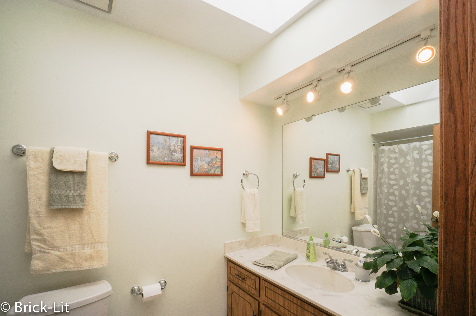 19227 Weber Road Mokena, IL 60448 - Photo 19 of 19 a bathroom with a sink and a mirror