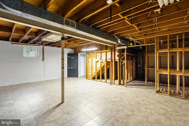 a view of a forest with trees in the background
