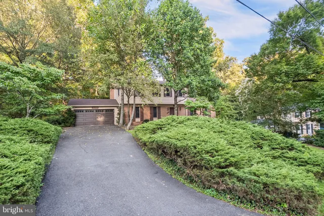 a view of a garden with plants and large trees