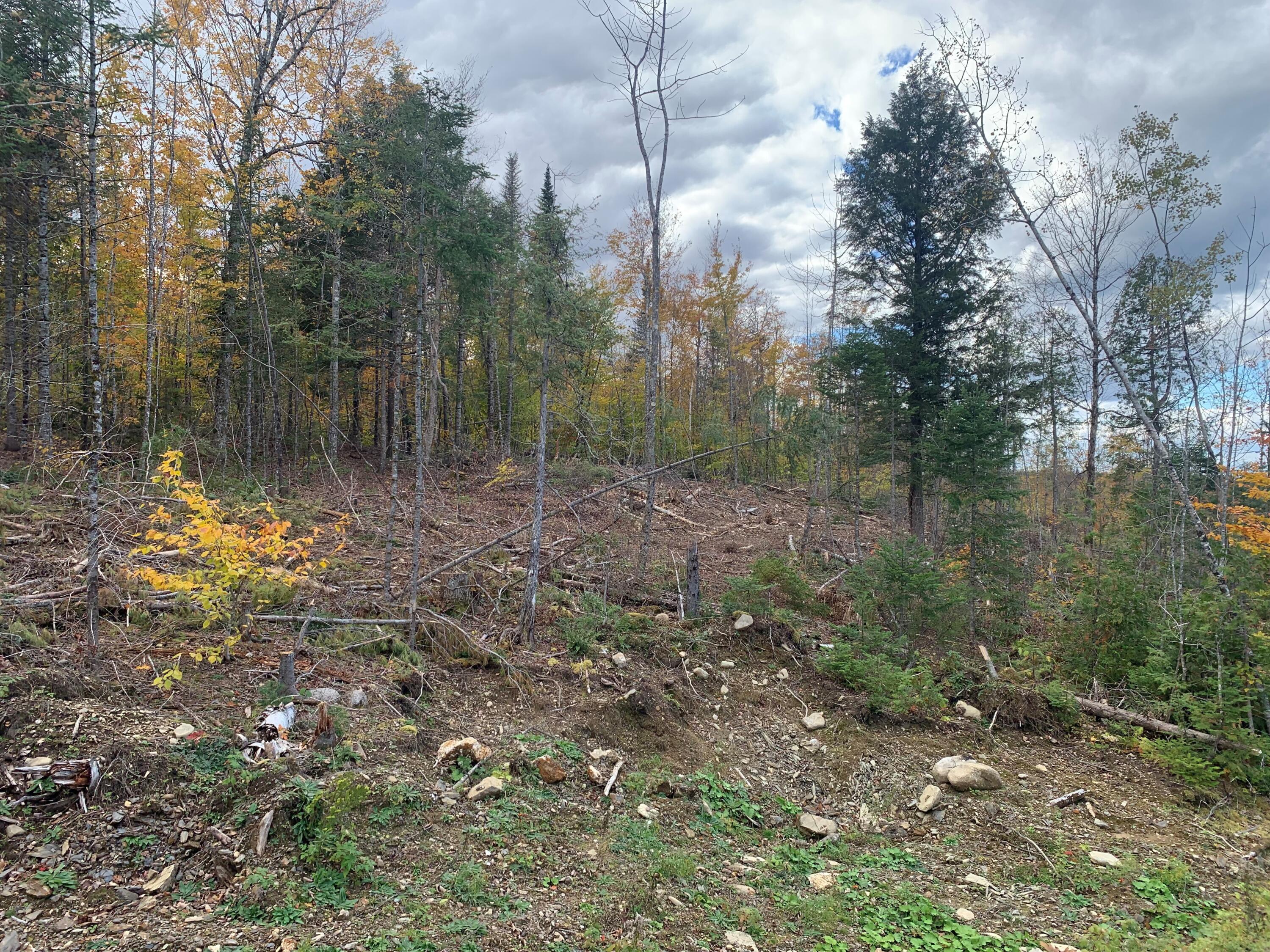 0 Sheepskin Road Carroll Plt, ME 04487 - Photo 11 of 17 MLS11