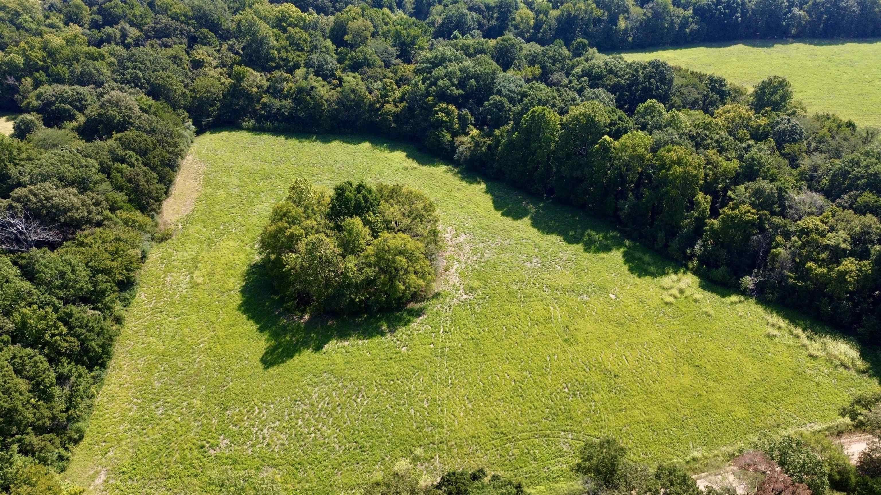 21.10-acres Terry Road Somerville, TN 38068 - Photo 9 of 18 Gallery Image 9