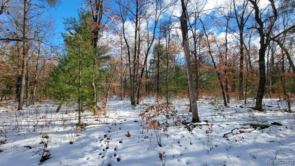 8879 9 Mile Bridge Road Manistee, MI 49660 - Photo 5 of 34