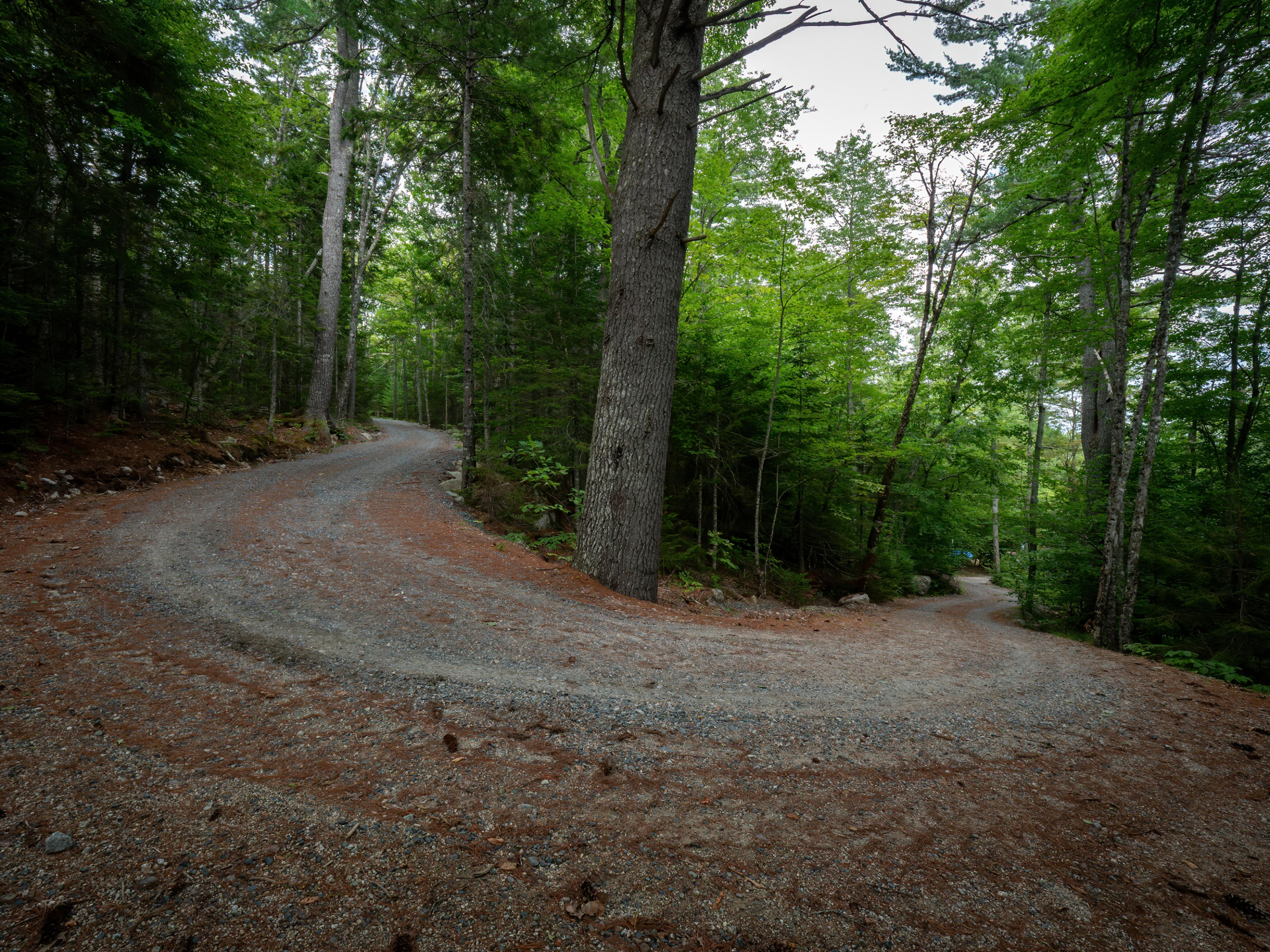 176 Great Pond Road Franklin, ME 04634 - Photo 52 of 72 176 Great Pond HiRes (5)