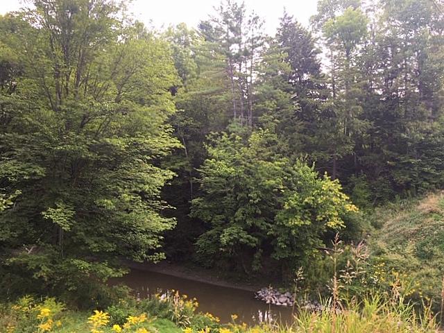 Tbd Farmington Falls Road New Sharon, ME 04955 - Photo 3 of 6 Lot