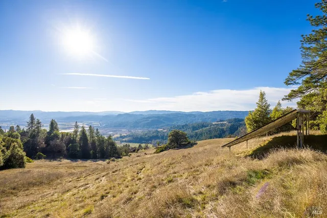 a view of a backyard with a garden and plants