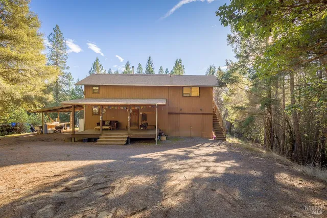 view of a bunch of plants and small trees