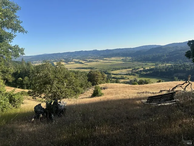 view of a bunch of plants and small trees
