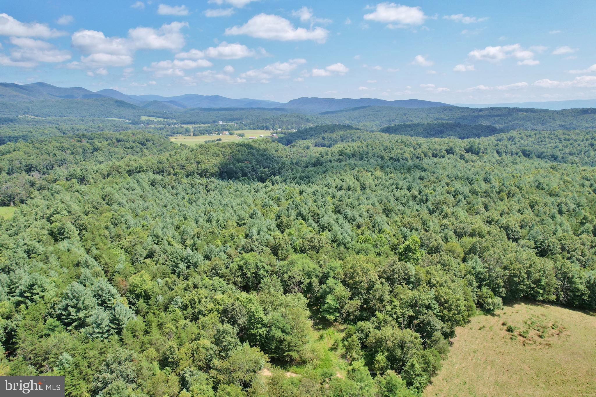 a view of a lush green forest with mountains in the background