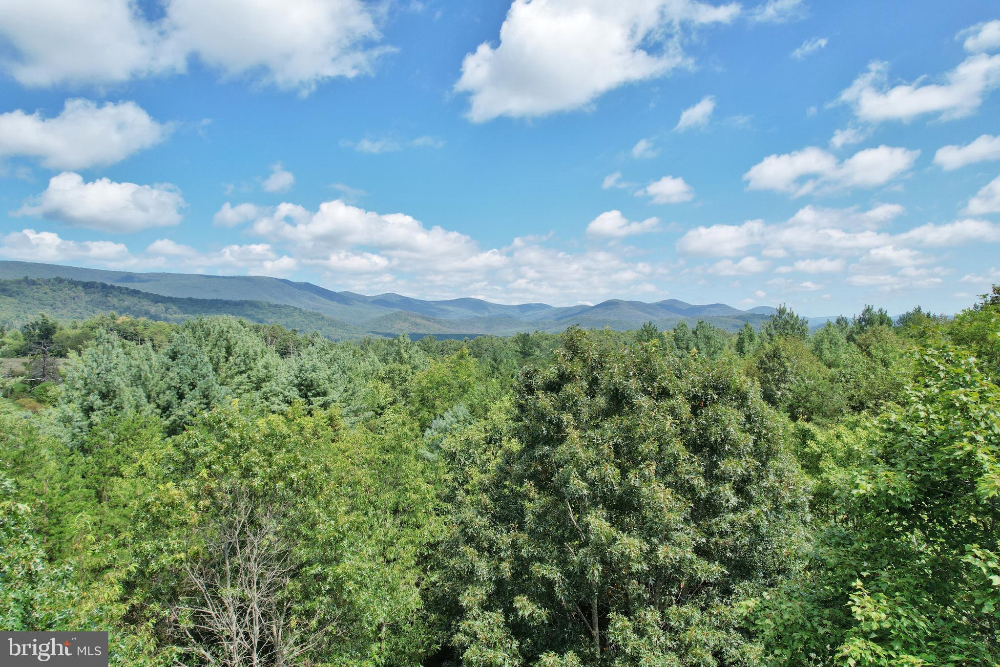 0 Alum Springs Road Edinburg, VA 22824 - Photo 2 of 12 a view of a bunch of trees