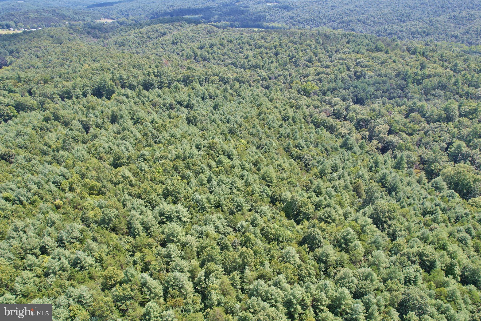 0 Alum Springs Road Edinburg, VA 22824 - Photo 5 of 12 a view of a field