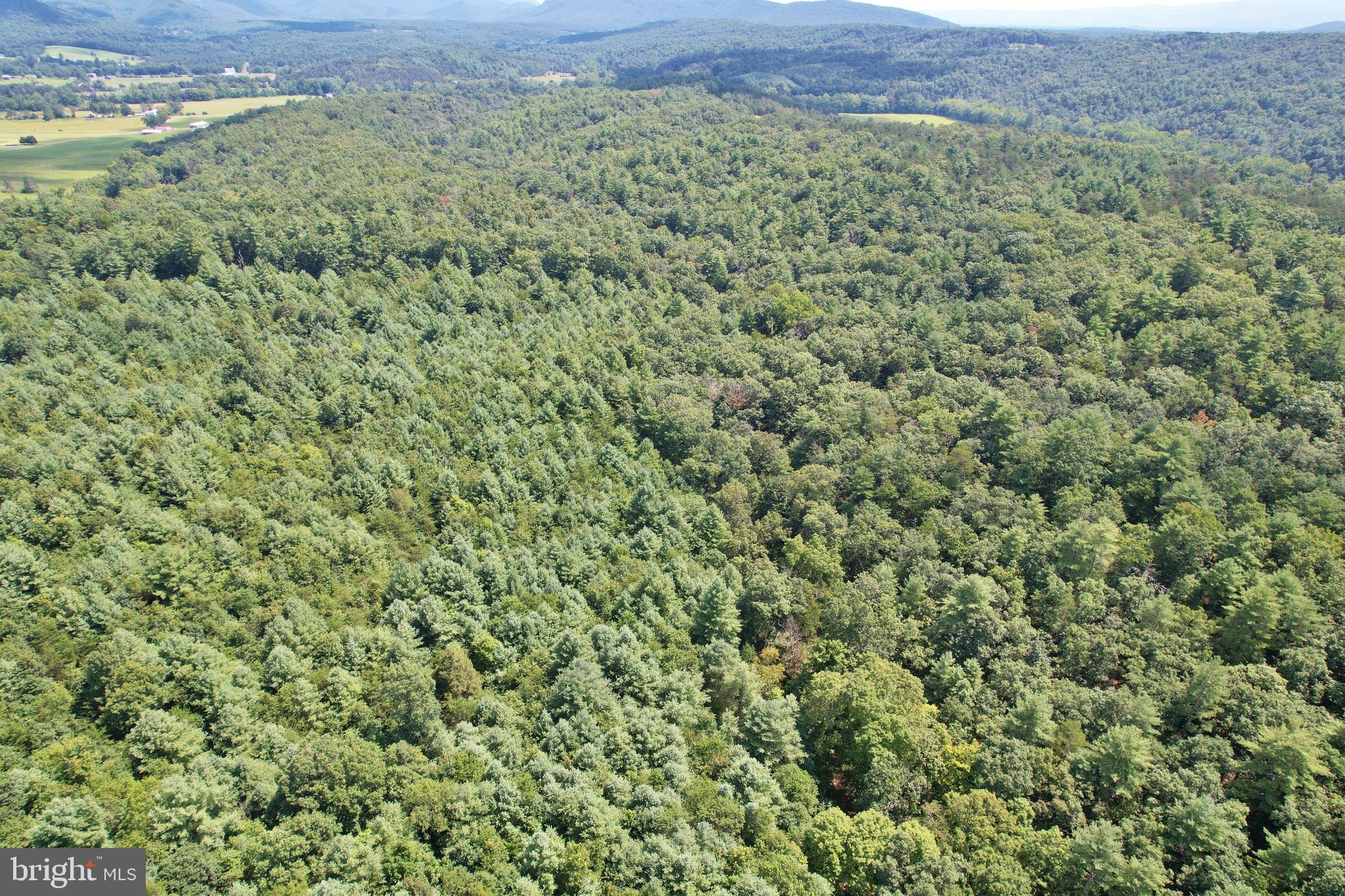0 Alum Springs Road Edinburg, VA 22824 - Photo 6 of 12 a view of a large yard with lots of green space