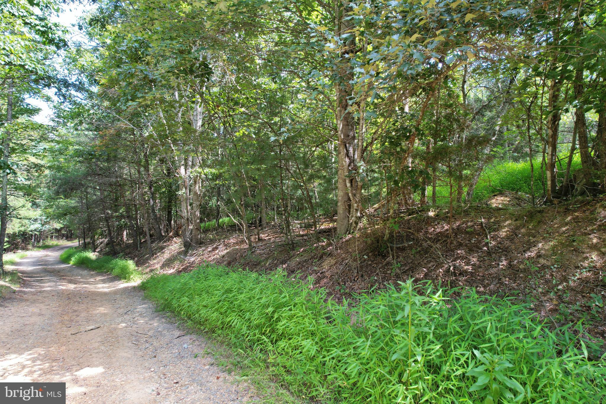 0 Alum Springs Road Edinburg, VA 22824 - Photo 7 of 12 a big yard with lots of green space and deers