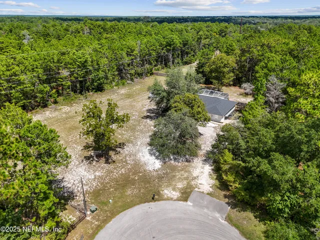 a view of a yard with plants