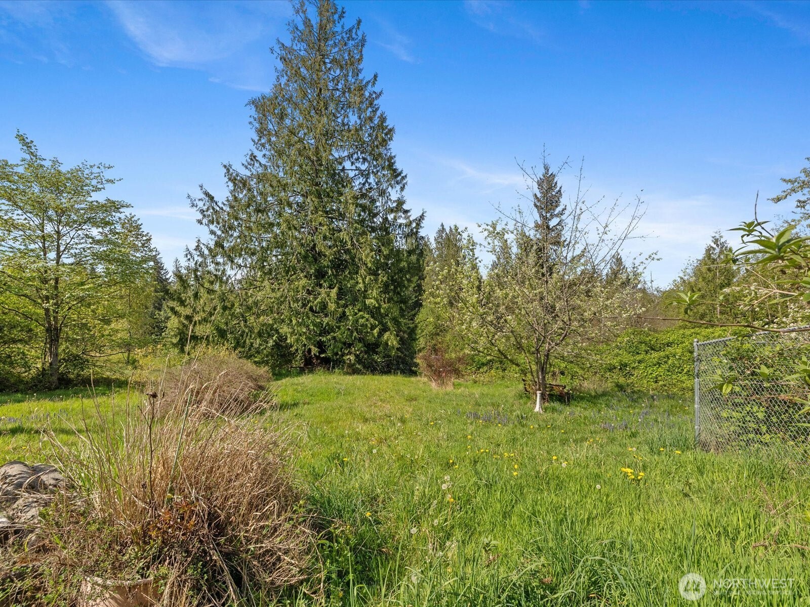 32920 Sultan Basin Road Sultan, WA 98294 - Photo 33 of 38