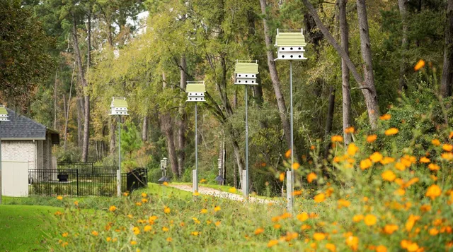 $3,200 | 14818 Whistling Duck Lane, Magnolia, TX 77354