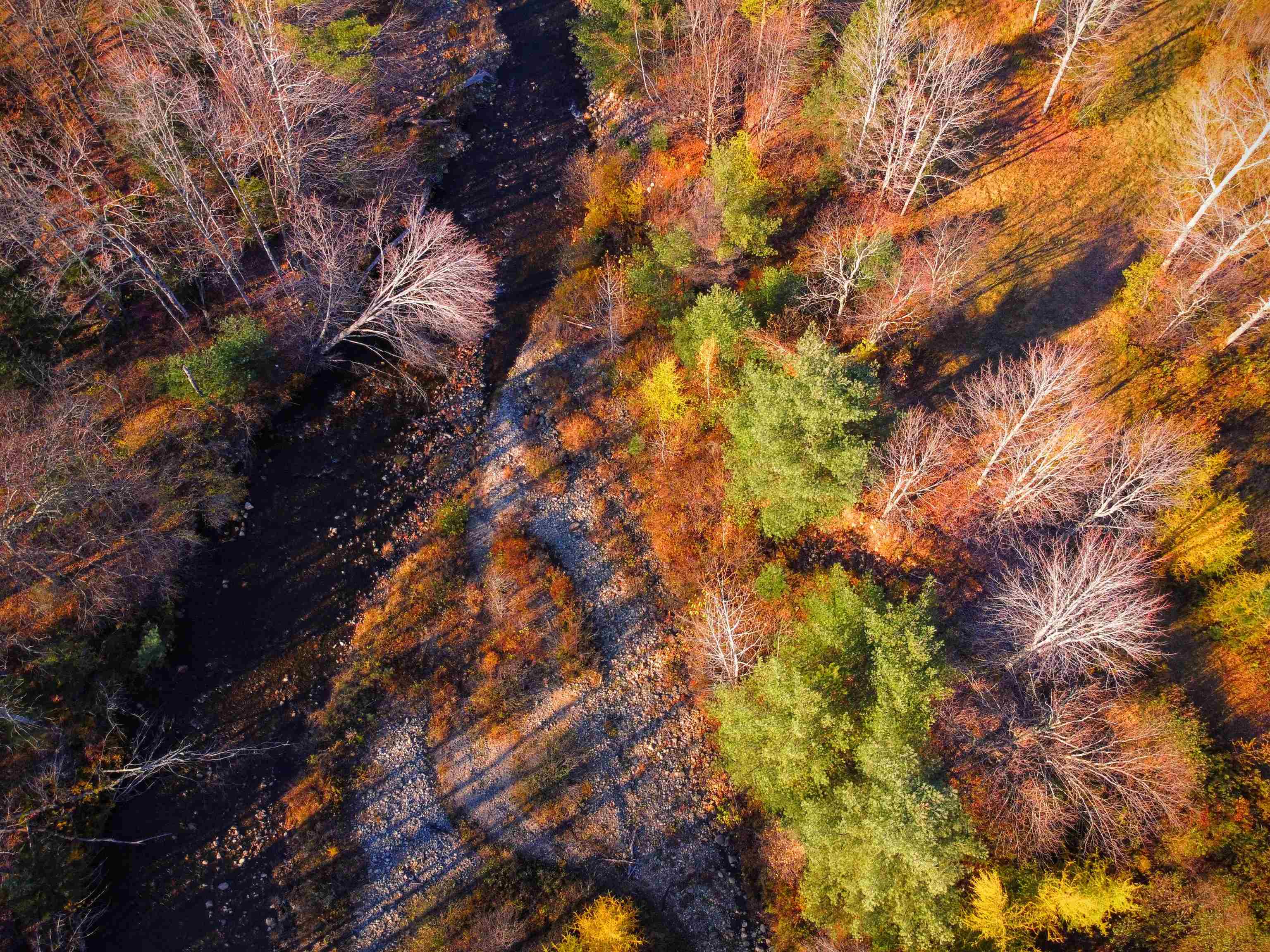 0 Profile Road Franconia, NH 03580 - Photo 2 of 10