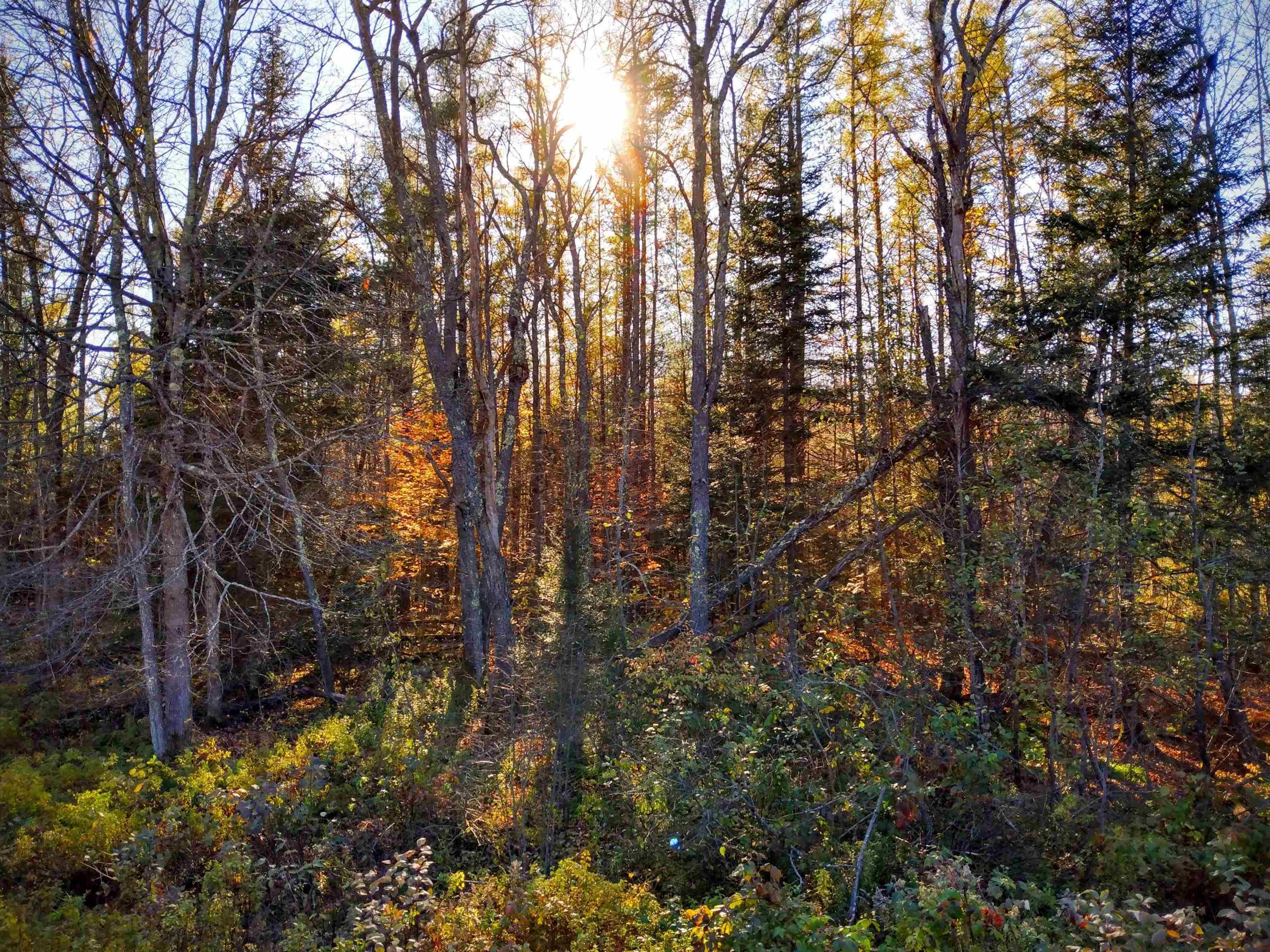 0 Profile Road Franconia, NH 03580 - Photo 6 of 10