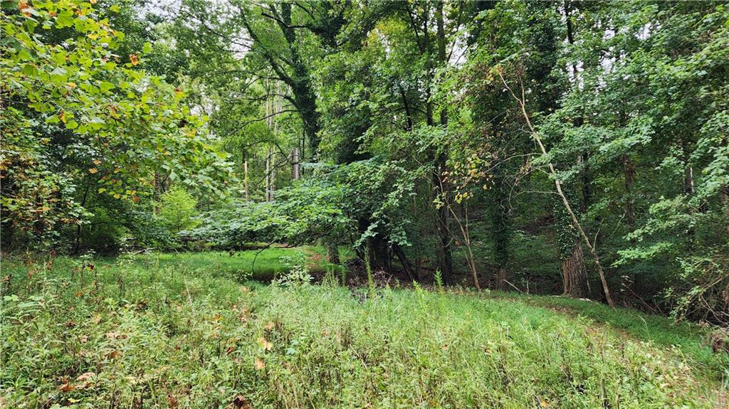 1661 Friendship Road Hoschton, GA 30548 - Photo 12 of 68