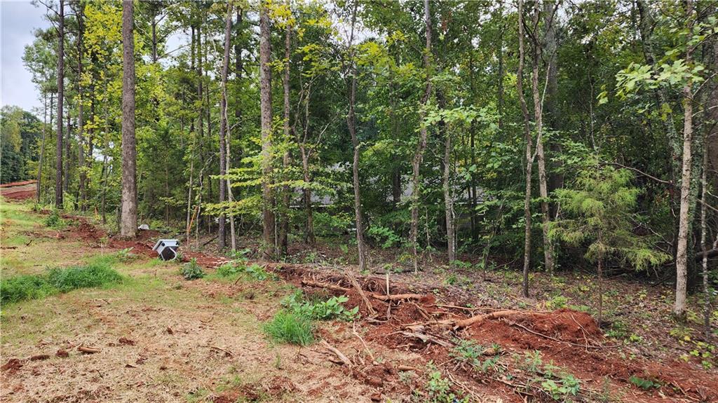 1661 Friendship Road Hoschton, GA 30548 - Photo 16 of 68
