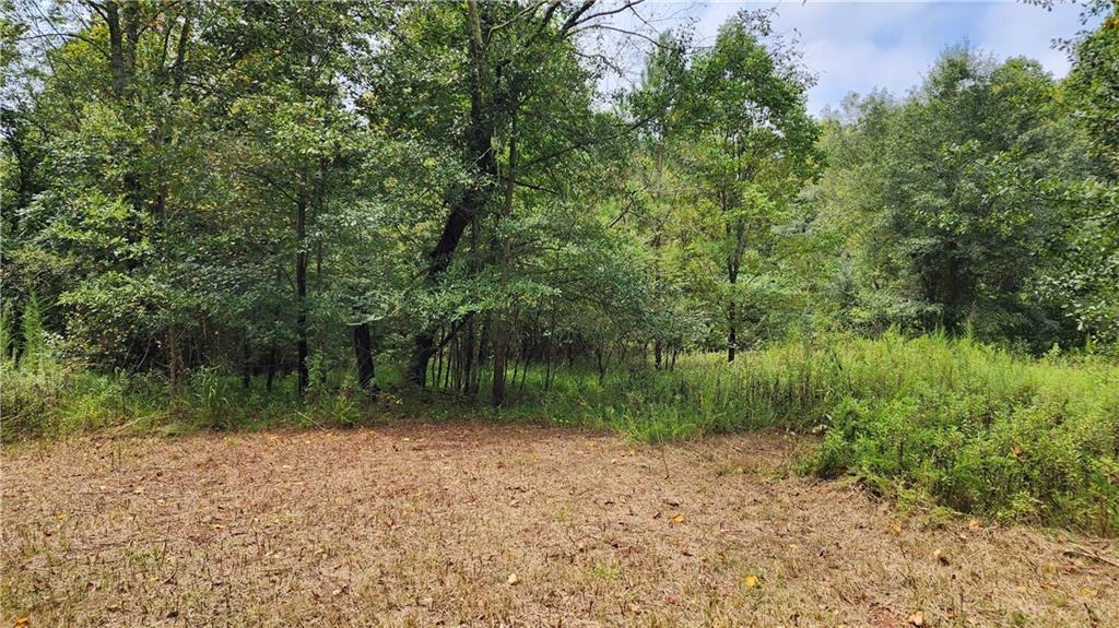 1661 Friendship Road Hoschton, GA 30548 - Photo 18 of 68