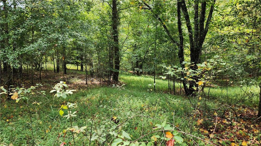 1661 Friendship Road Hoschton, GA 30548 - Photo 20 of 68