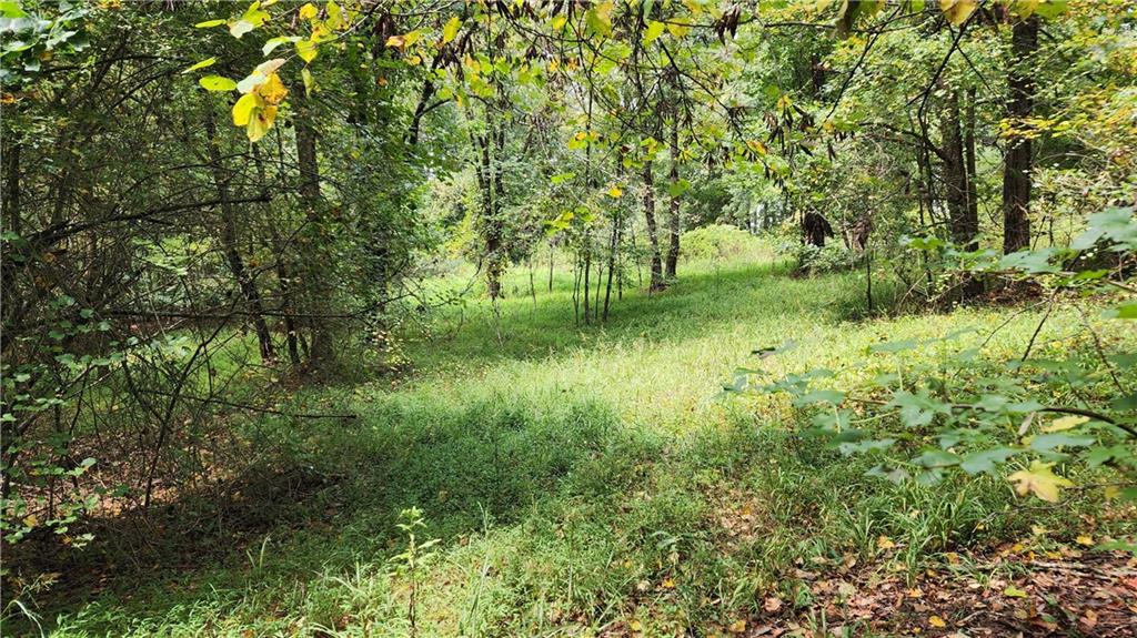 1661 Friendship Road Hoschton, GA 30548 - Photo 21 of 68