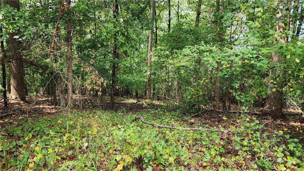 1661 Friendship Road Hoschton, GA 30548 - Photo 23 of 68