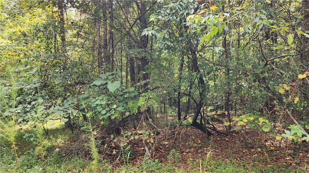 1661 Friendship Road Hoschton, GA 30548 - Photo 25 of 68