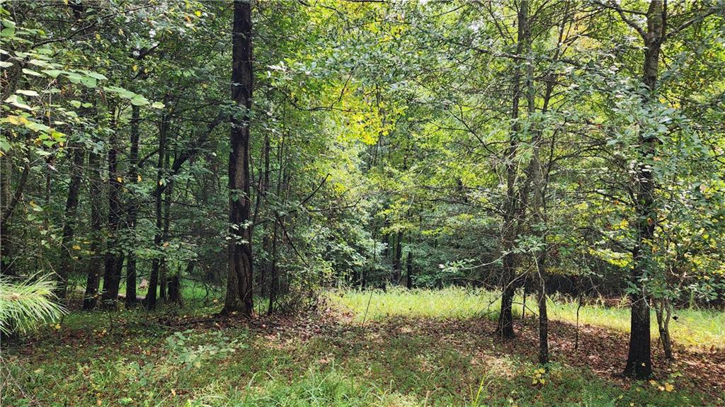 1661 Friendship Road Hoschton, GA 30548 - Photo 27 of 68