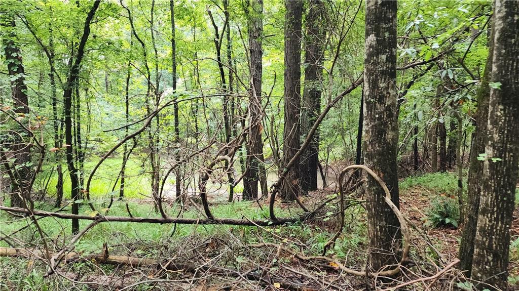 1661 Friendship Road Hoschton, GA 30548 - Photo 29 of 68