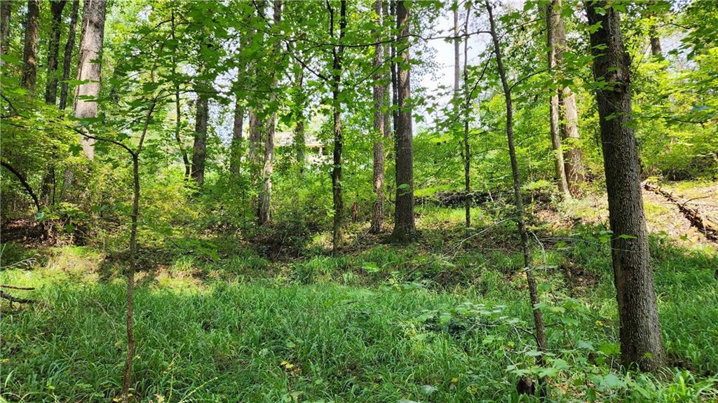 1661 Friendship Road Hoschton, GA 30548 - Photo 33 of 68