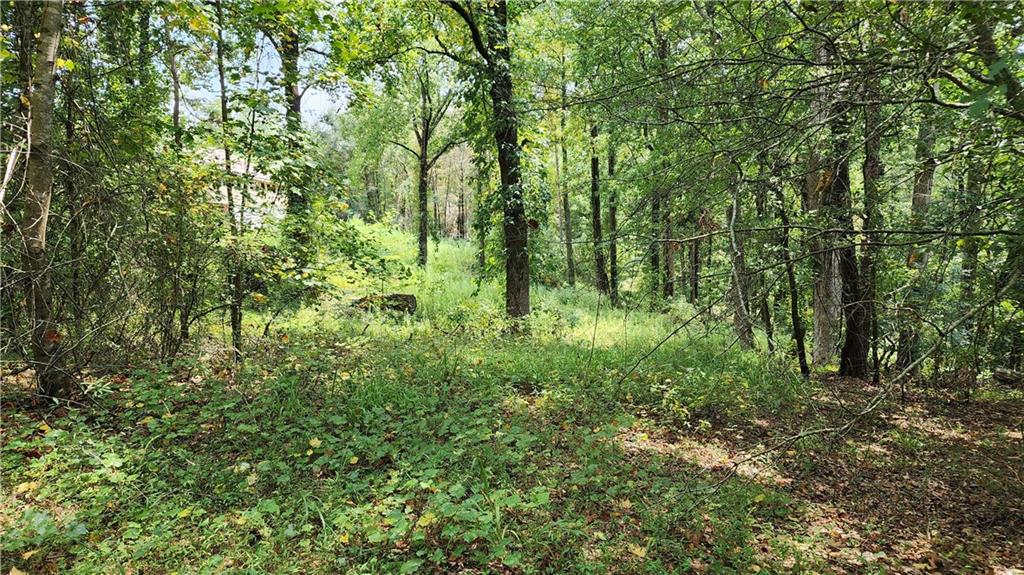 1661 Friendship Road Hoschton, GA 30548 - Photo 34 of 68