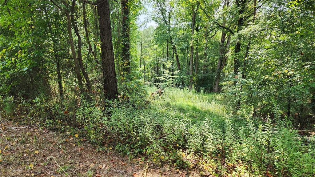 1661 Friendship Road Hoschton, GA 30548 - Photo 35 of 68