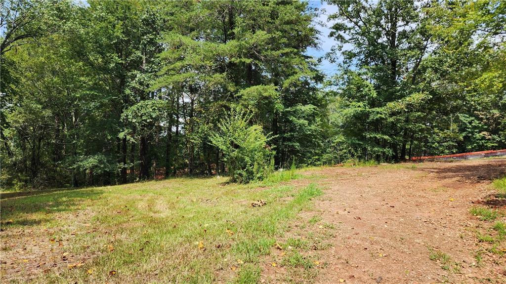 1661 Friendship Road Hoschton, GA 30548 - Photo 36 of 68