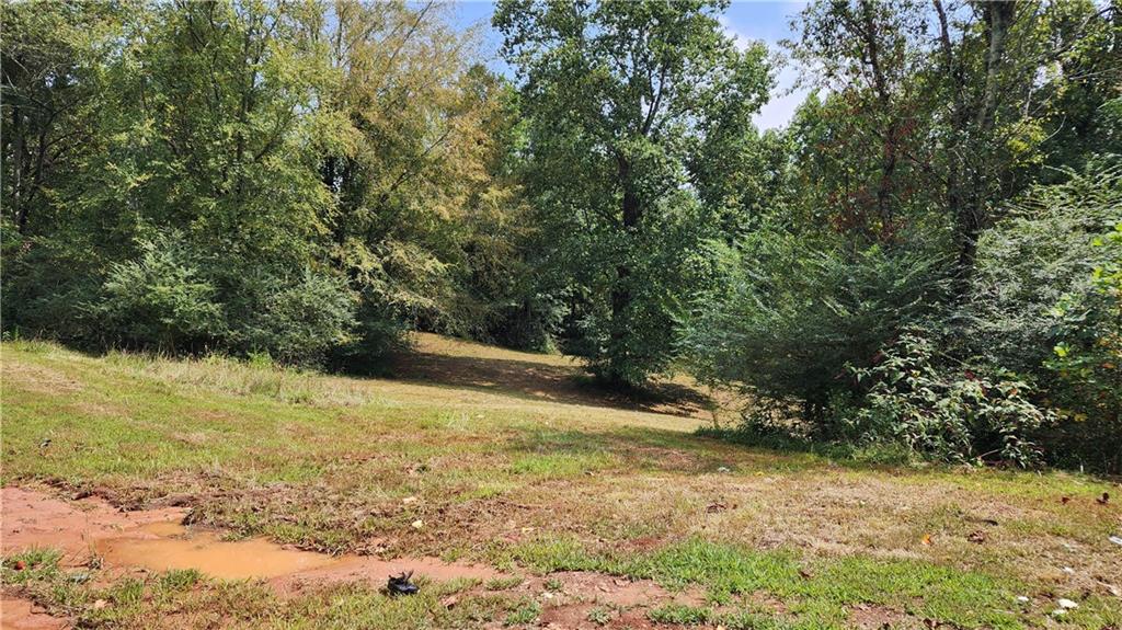 1661 Friendship Road Hoschton, GA 30548 - Photo 38 of 68