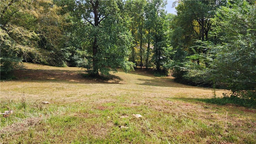 1661 Friendship Road Hoschton, GA 30548 - Photo 40 of 68