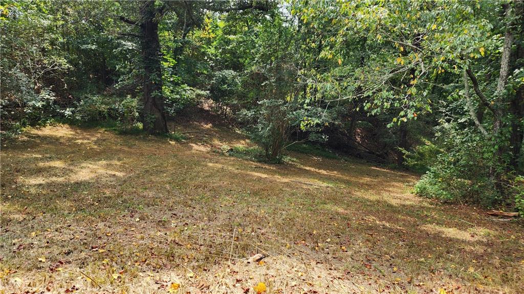 1661 Friendship Road Hoschton, GA 30548 - Photo 55 of 68
