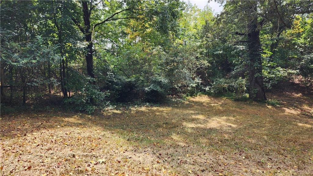 1661 Friendship Road Hoschton, GA 30548 - Photo 56 of 68