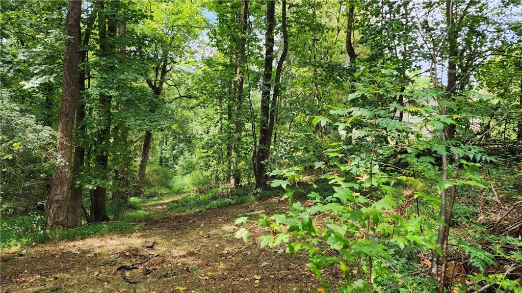 1661 Friendship Road Hoschton, GA 30548 - Photo 57 of 68
