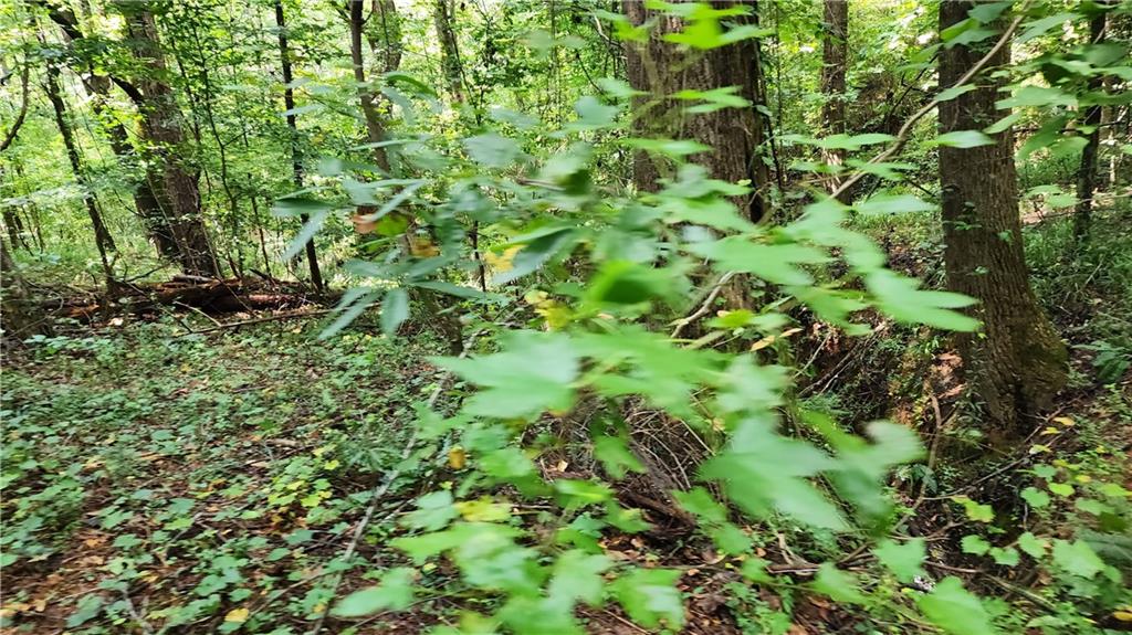 1661 Friendship Road Hoschton, GA 30548 - Photo 60 of 68